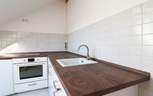 Erstbezug nach Sanierung: 1 Zi. Appartement mit tollem Blick