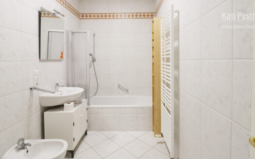 Erstbezug nach Sanierung: 1 Zi. Appartement mit tollem Blick